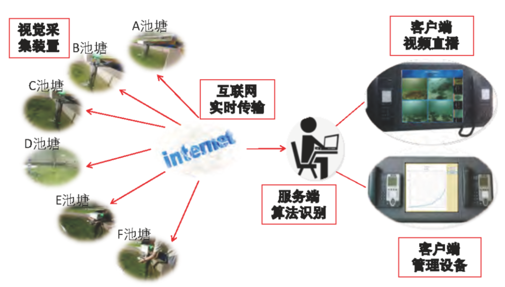 水産監測 